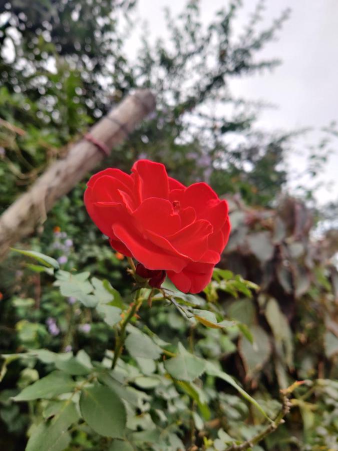 Westernghats Homestay Madikeri Exterior photo