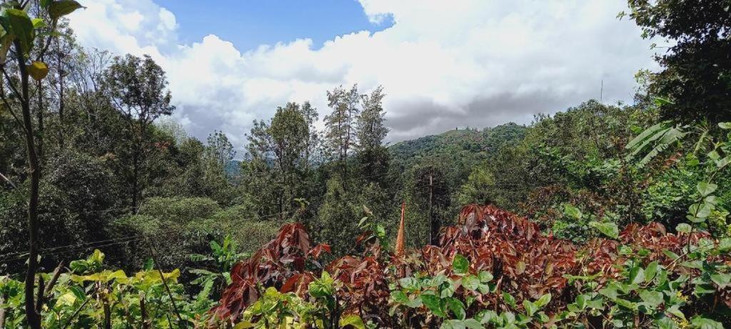 Westernghats Homestay Madikeri Exterior photo